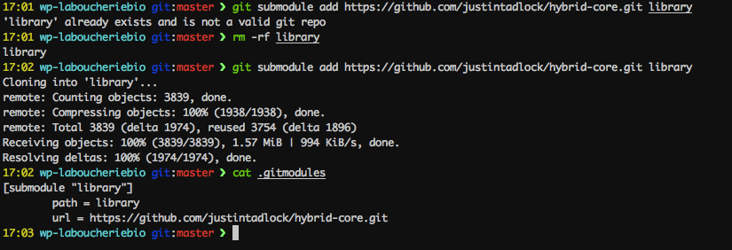 git submodules hybrid core screeshot