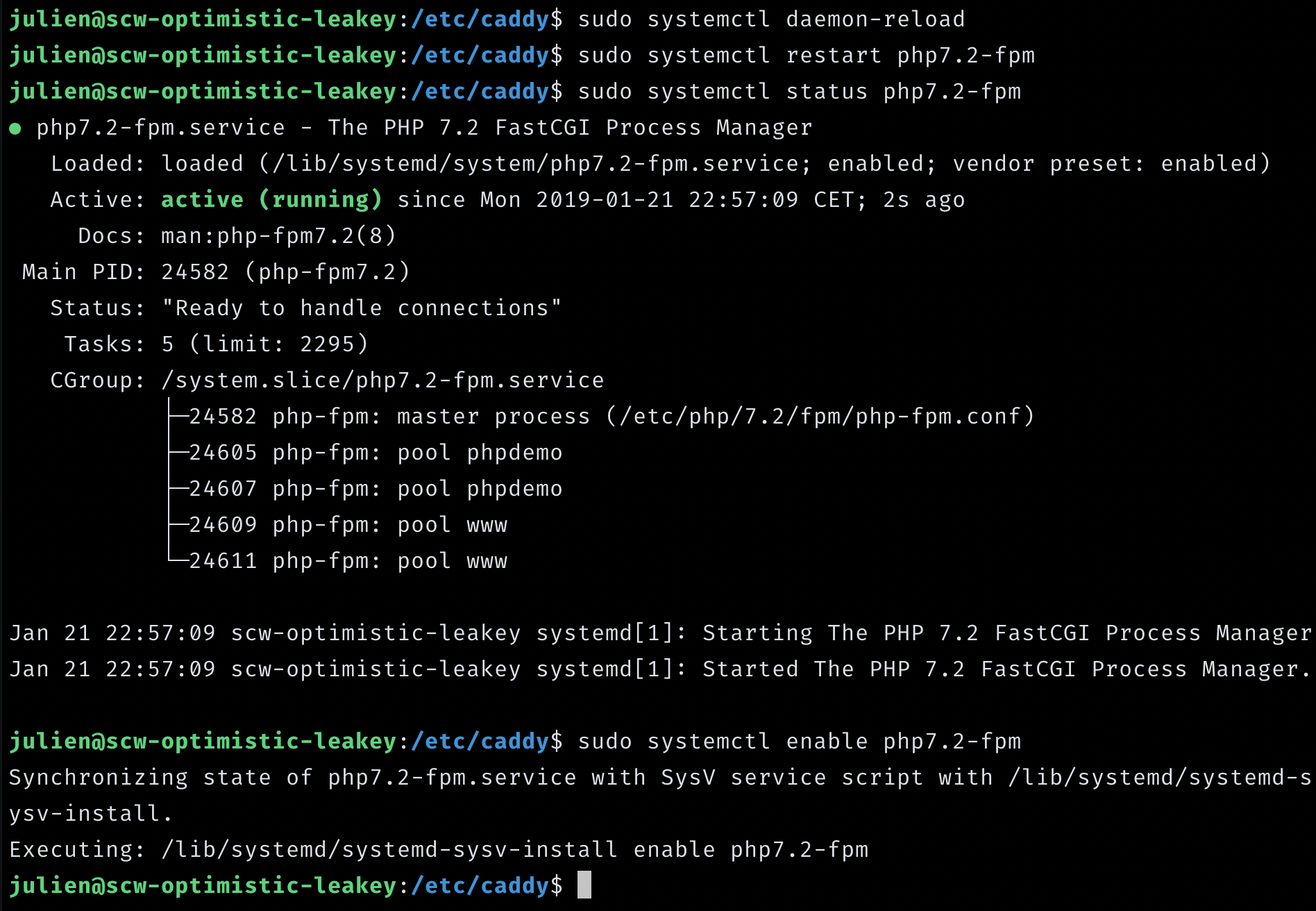 php fpm status